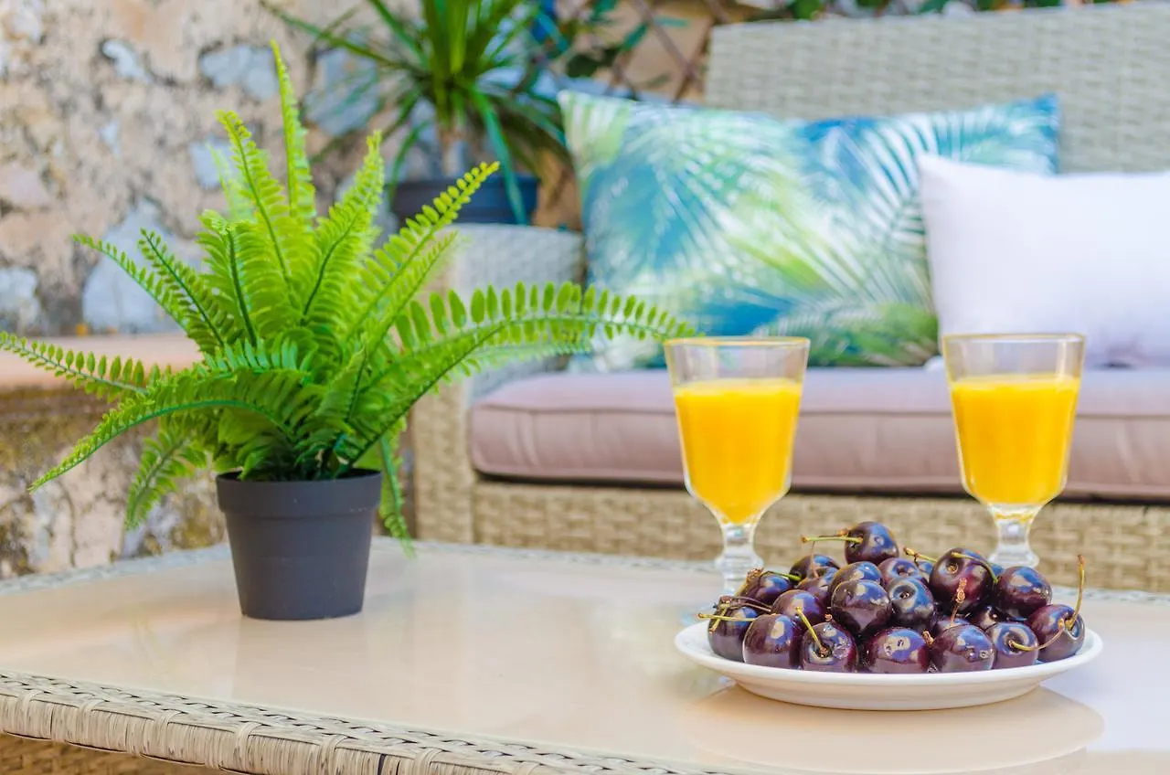 Can Damia S'Arraco Holiday home
